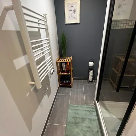 T2 Bis Proche Gare Et Centre - Parking Proche Lourdes