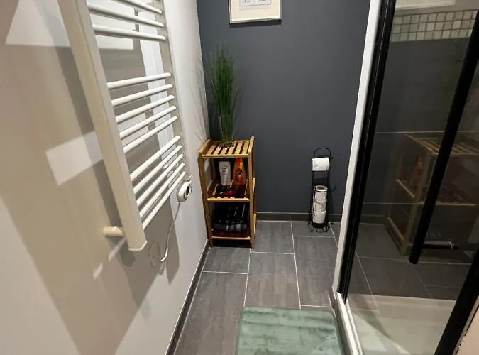 T2 Bis Proche Gare Et Centre - Parking Proche Lourdes