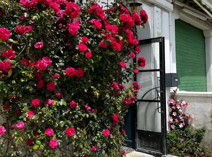 Appartement T2 Bis Proche Gare Et Centre - Parking Proche *